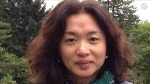 金星爆料小眼睛视频大全,小眼睛视频大全，揭秘明星们的“另类魅力”