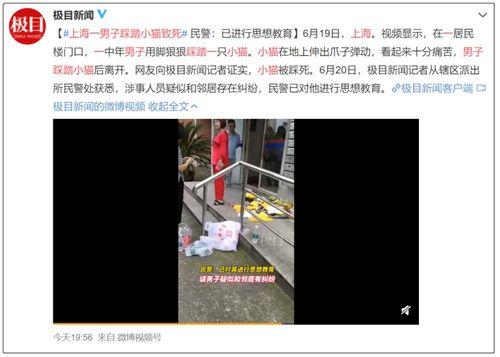 爆料踩踏动物视频大全最新,最新爆料踩踏动物视频大全引发社会关注